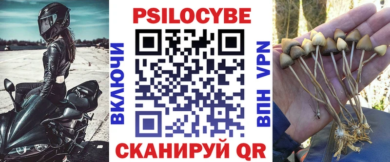 Купить  Кунгур  Галлюциногенные грибы прущие грибы 