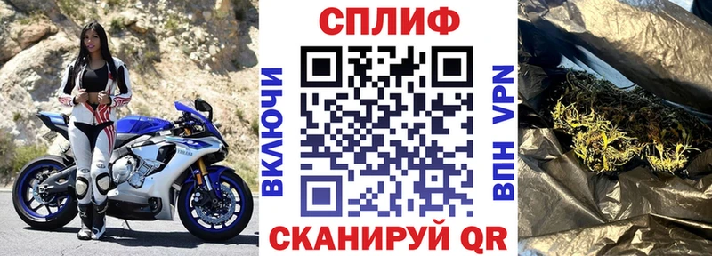 МАРИХУАНА сатива  Купить закладки  Кунгур 